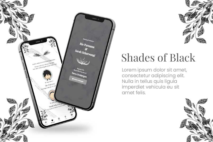 Shades of Black